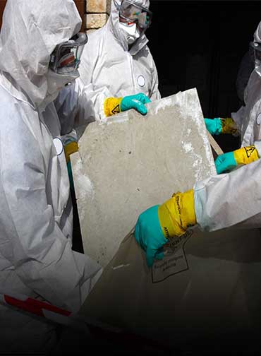 Mold Inspection service in the basement by peril canada