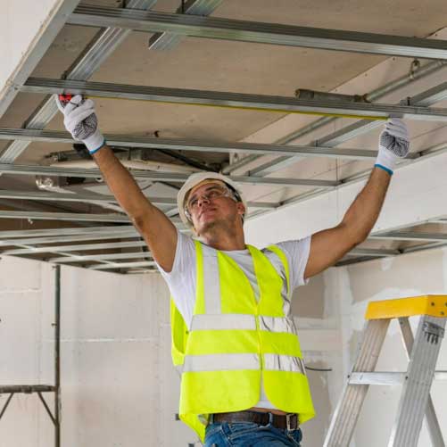 mold removal estimation by experts toronto