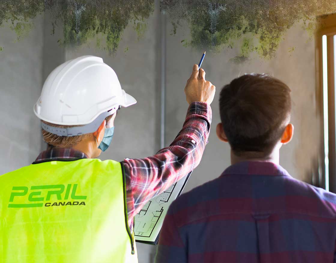 mold property Inspectors