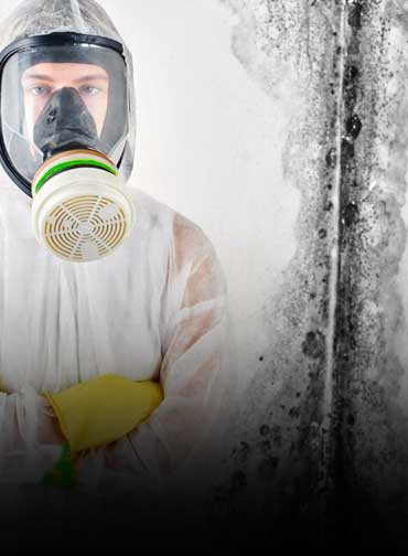 Mold Inspection service in the basement by peril canada