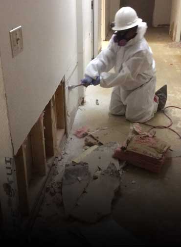 Mold Inspection service in the basement by peril canada