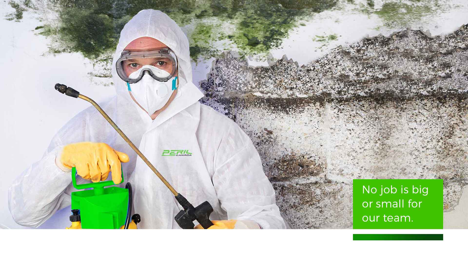 toronto mold treatment company homes and business
